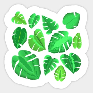 Monstera Plant Leaf Pattern (White Background) Sticker